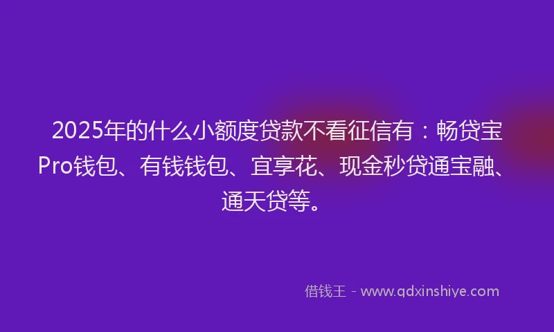 2025年的什么小额度贷款不看征信有：畅贷宝Pro钱包、有钱钱包、宜享花、现金秒贷通宝融、通天贷等。