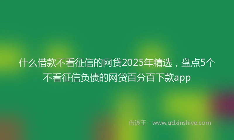 什么借款不看征信的网贷2025年精选，盘点5个不看征信负债的网贷百分百下款app
