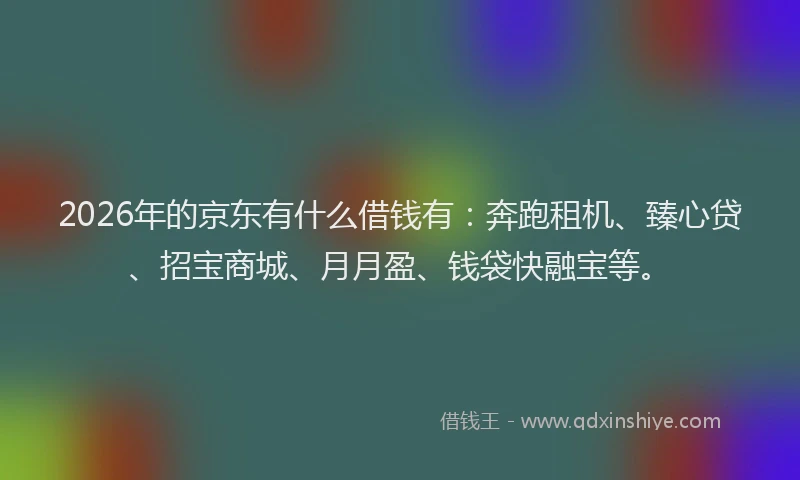2026年的京东有什么借钱有：奔跑租机、臻心贷、招宝商城、月月盈、钱袋快融宝等。