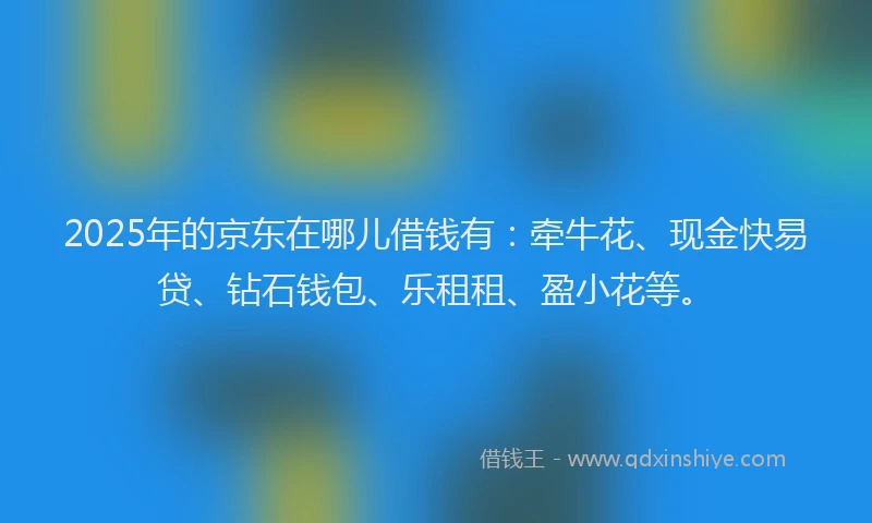2025年的京东在哪儿借钱有：牵牛花、现金快易贷、钻石钱包、乐租租、盈小花等。