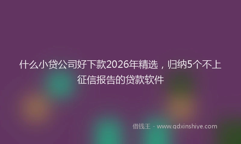 什么小贷公司好下款2026年精选,归纳5个不上征信报告的贷款软件