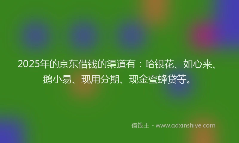 2025年的京东借钱的渠道有：哈银花、如心来、鹅小易、现用分期、现金蜜蜂贷等。