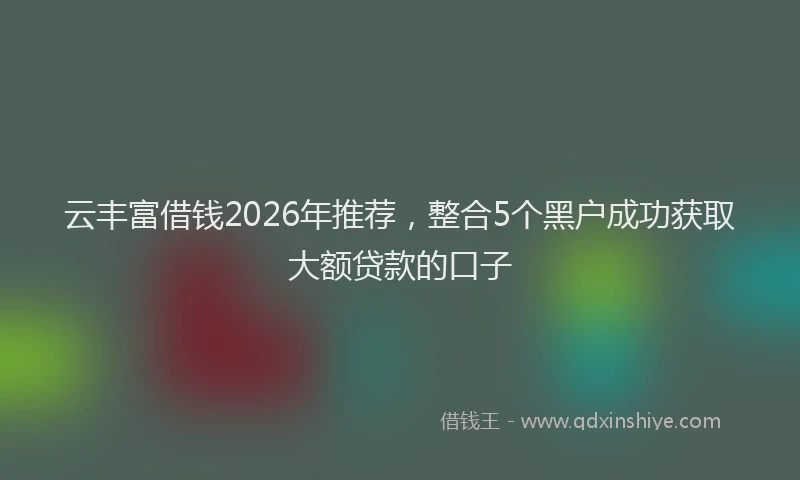 云丰富借钱2026年推荐，整合5个黑户成功获取大额贷款的口子