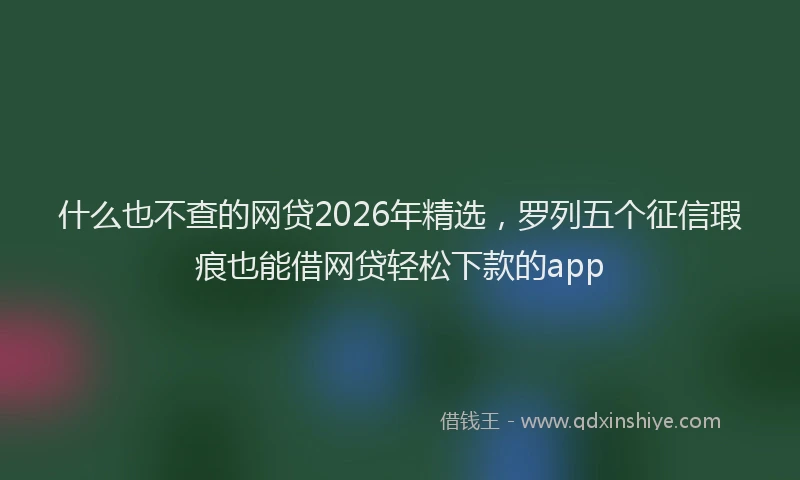 什么也不查的网贷2026年精选，罗列五个征信瑕疵也能借网贷轻松下款的app