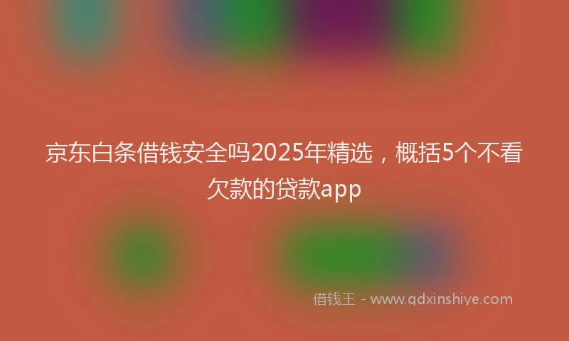 京东白条借钱安全吗2025年精选，概括5个不看欠款的贷款app