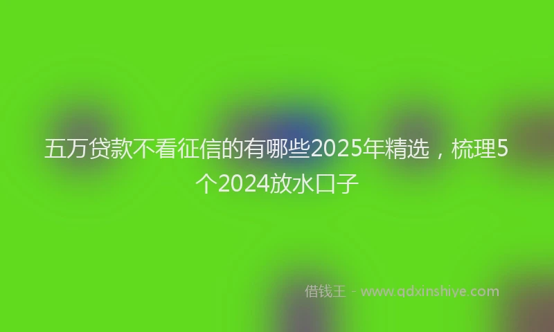 五万贷款不看征信的有哪些2025年精选,梳理5个2024放水口子
