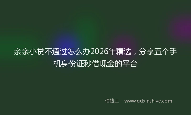 亲亲小贷不通过怎么办2026年精选，分享五个手机身份证秒借现金的平台