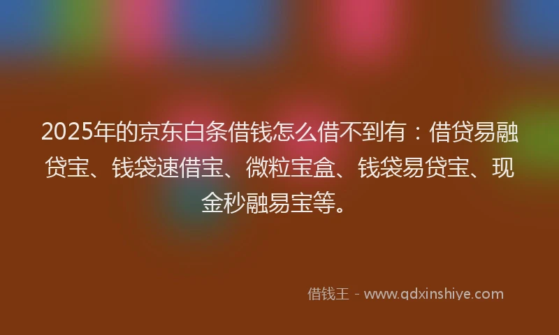 2025年的京东白条借钱怎么借不到有：借贷易融贷宝、钱袋速借宝、微粒宝盒、钱袋易贷宝、现金秒融易宝等。