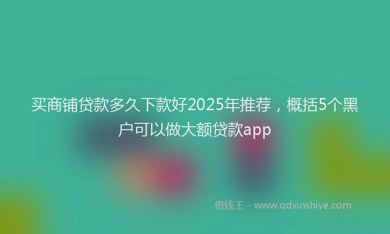 买商铺贷款多久下款好2025年推荐，概括5个黑户可以做大额贷款app