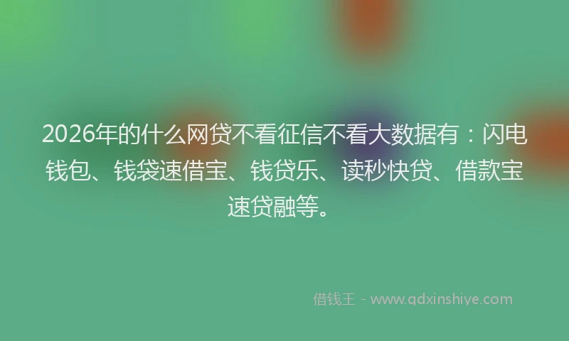 2026年的什么网贷不看征信不看大数据有：闪电钱包、钱袋速借宝、钱贷乐、读秒快贷、借款宝速贷融等。