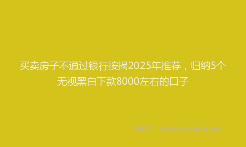 买卖房子不通过银行按揭2025年推荐，归纳5个无视黑白下款8000左右的口子