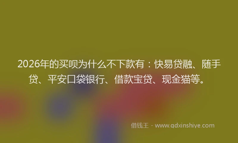 2026年的买呗为什么不下款有：快易贷融、随手贷、平安口袋银行、借款宝贷、现金猫等。