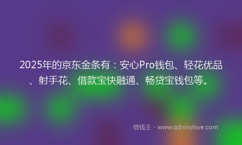 2025年的京东金条有：安心Pro钱包、轻花优品、射手花、借款宝快融通、畅贷宝钱包等。