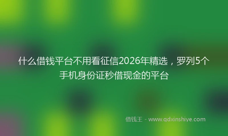 什么借钱平台不用看征信2026年精选，罗列5个手机身份证秒借现金的平台