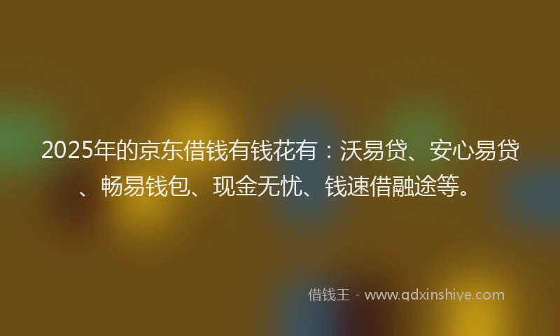 2025年的京东借钱有钱花有：沃易贷、安心易贷、畅易钱包、现金无忧、钱速借融途等。