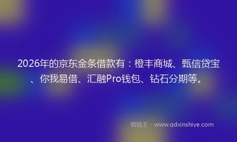 2026年的京东金条借款有：橙丰商城、甄信贷宝、你我易借、汇融Pro钱包、钻石分期等。