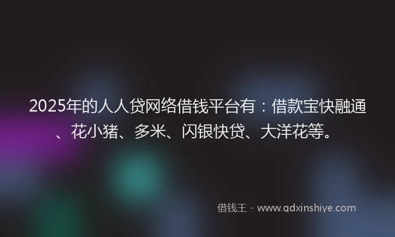 2025年的人人贷网络借钱平台有：借款宝快融通、花小猪、多米、闪银快贷、大洋花等。