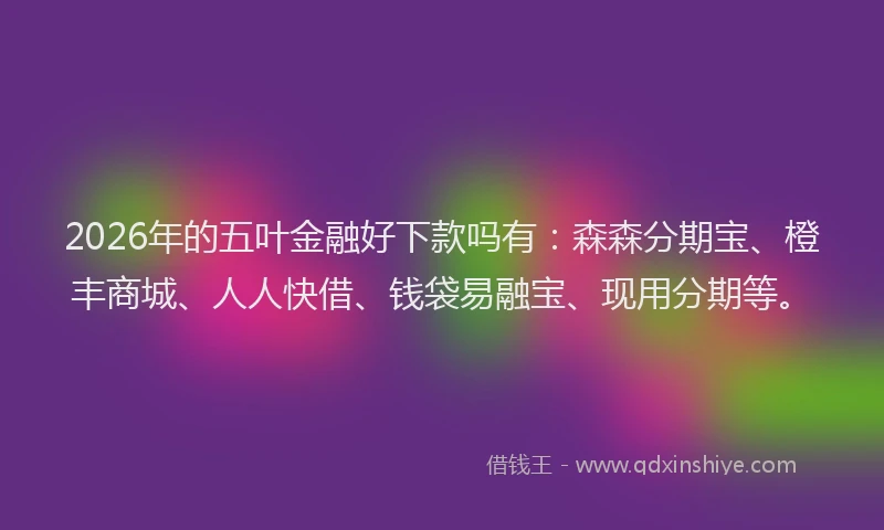 2026年的五叶金融好下款吗有:森森分期宝、橙丰商城、人人快借、钱袋易融宝、现用分期等。