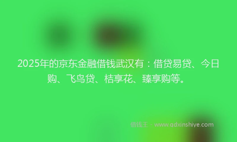 2025年的京东金融借钱武汉有:借贷易贷、今日购、飞鸟贷、桔享花、臻享购等。