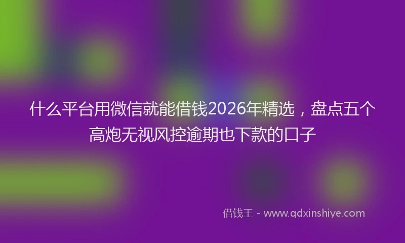 什么平台用微信就能借钱2026年精选,盘点五个高炮无视风控逾期也下款的口子