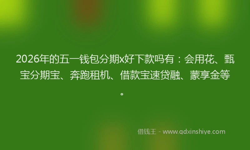 2026年的五一钱包分期x好下款吗有：会用花、甄宝分期宝、奔跑租机、借款宝速贷融、蒙享金等。