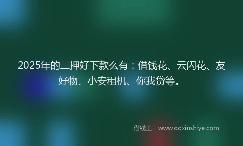 2025年的二押好下款么有：借钱花、云闪花、友好物、小安租机、你我贷等。