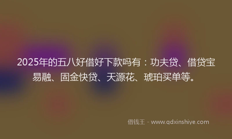 2025年的五八好借好下款吗有:功夫贷、借贷宝易融、固金快贷、天源花、琥珀买单等。