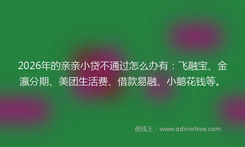 2026年的亲亲小贷不通过怎么办有：飞融宝、金瀛分期、美团生活费、借款易融、小鹅花钱等。