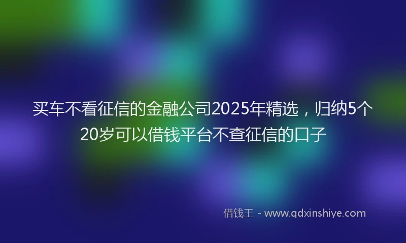 买车不看征信的金融公司2025年精选，归纳5个20岁可以借钱平台不查征信的口子