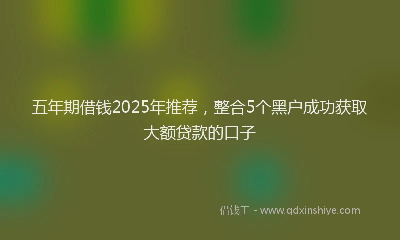 五年期借钱2025年推荐,整合5个黑户成功获取大额贷款的口子