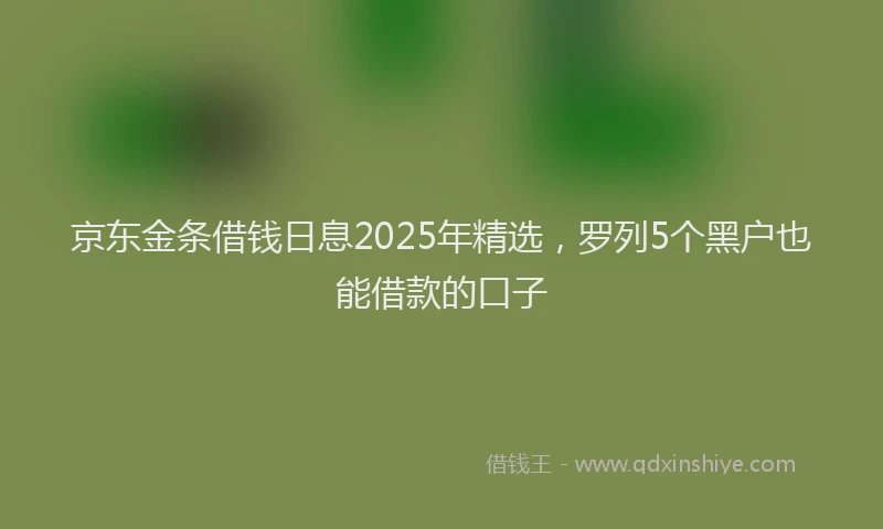 京东金条借钱日息2025年精选，罗列5个黑户也能借款的口子
