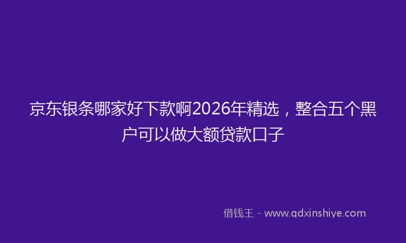 京东银条哪家好下款啊2026年精选,整合五个黑户可以做大额贷款口子