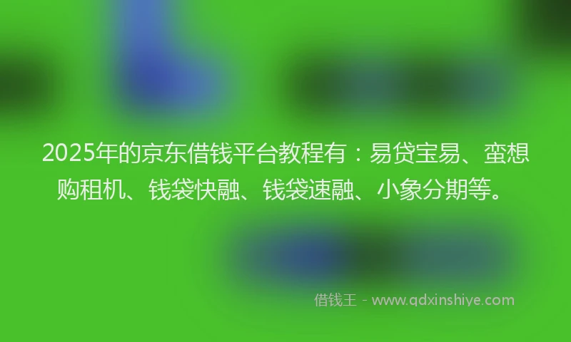 2025年的京东借钱平台教程有：易贷宝易、蛮想购租机、钱袋快融、钱袋速融、小象分期等。