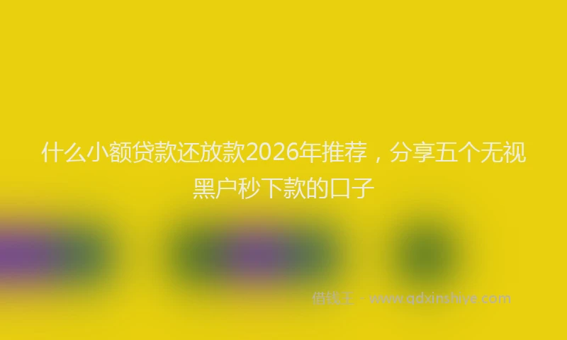 什么小额贷款还放款2026年推荐，分享五个无视黑户秒下款的口子