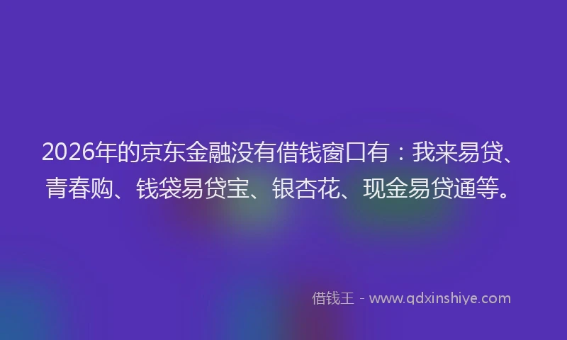 2026年的京东金融没有借钱窗口有：我来易贷、青春购、钱袋易贷宝、银杏花、现金易贷通等。