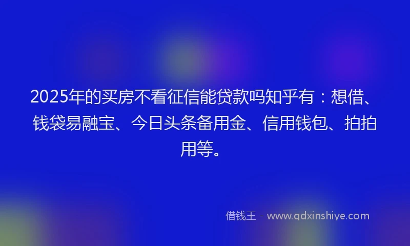 2025年的买房不看征信能贷款吗知乎有：想借、钱袋易融宝、今日头条备用金、信用钱包、拍拍用等。