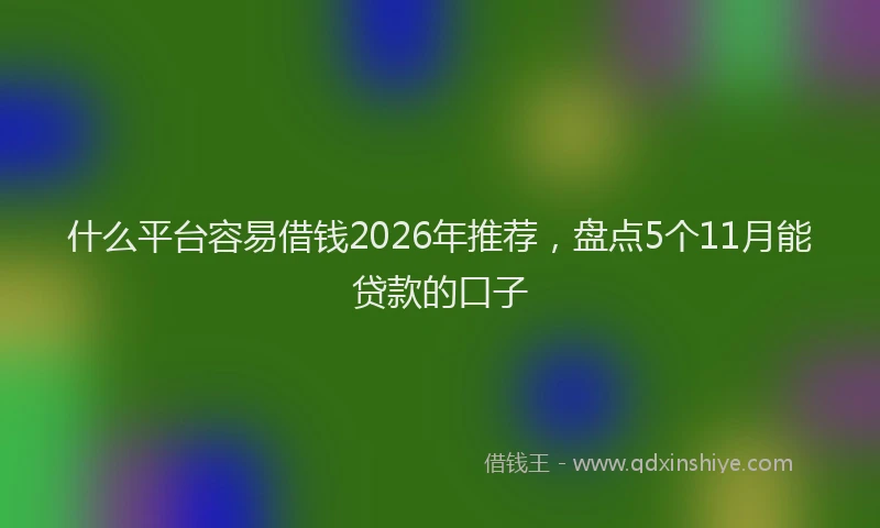 什么平台容易借钱2026年推荐，盘点5个11月能贷款的口子