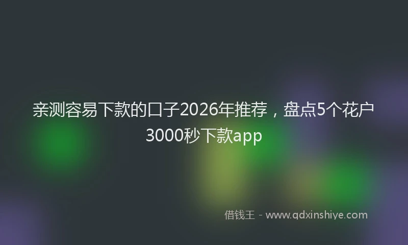 亲测容易下款的口子2026年推荐，盘点5个花户3000秒下款app