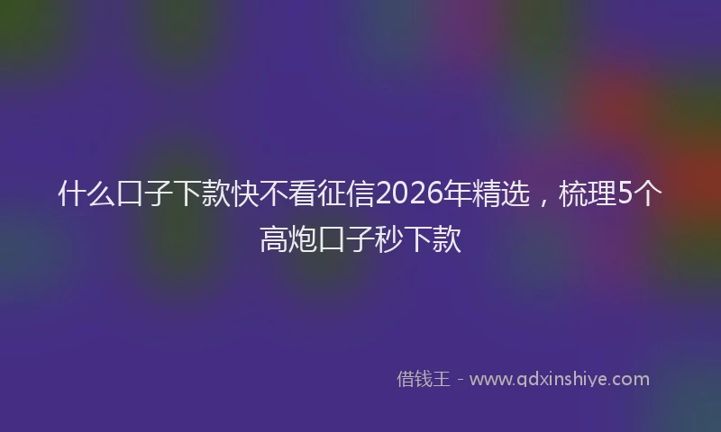 什么口子下款快不看征信2026年精选，梳理5个高炮口子秒下款