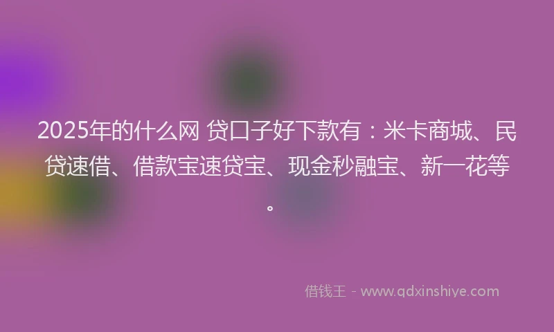 2025年的什么网 贷口子好下款有：米卡商城、民贷速借、借款宝速贷宝、现金秒融宝、新一花等。