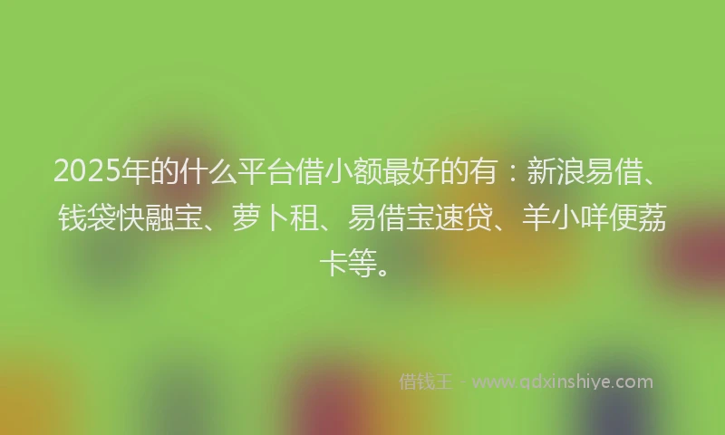 2025年的什么平台借小额最好的有：新浪易借、钱袋快融宝、萝卜租、易借宝速贷、羊小咩便荔卡等。