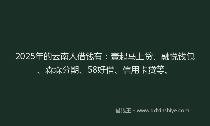 2025年的云南人借钱有：壹起马上贷、融悦钱包、森森分期、58好借、信用卡贷等。