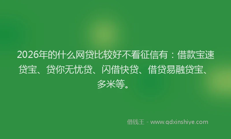 2026年的什么网贷比较好不看征信有：借款宝速贷宝、贷你无忧贷、闪借快贷、借贷易融贷宝、多米等。