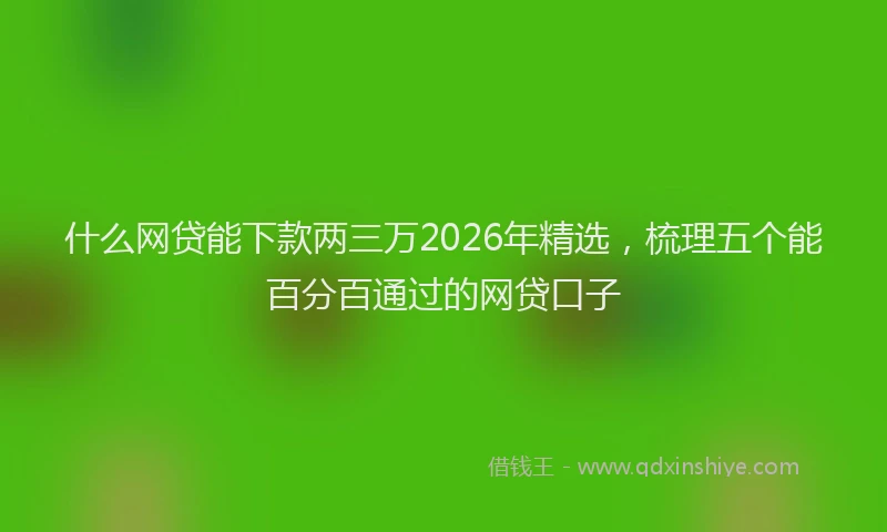 什么网贷能下款两三万2026年精选，梳理五个能百分百通过的网贷口子