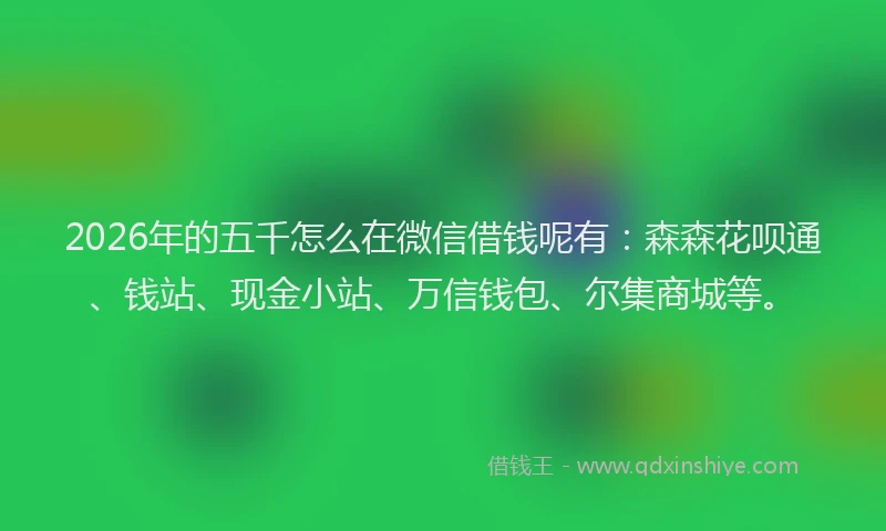 2026年的五千怎么在微信借钱呢有：森森花呗通、钱站、现金小站、万信钱包、尔集商城等。