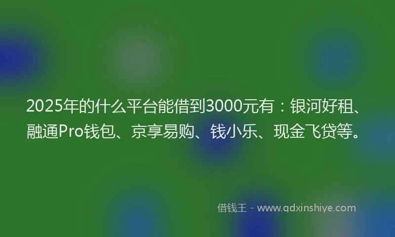 2025年的什么平台能借到3000元有：银河好租、融通Pro钱包、京享易购、钱小乐、现金飞贷等。