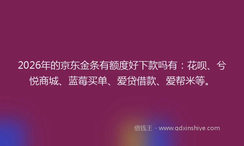 2026年的京东金条有额度好下款吗有：花呗、兮悦商城、蓝莓买单、爱贷借款、爱帮米等。