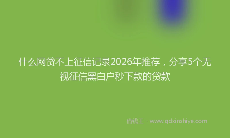 什么网贷不上征信记录2026年推荐，分享5个无视征信黑白户秒下款的贷款