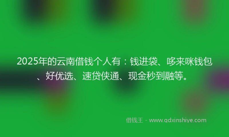 2025年的云南借钱个人有：钱进袋、哆来咪钱包、好优选、速贷侠通、现金秒到融等。