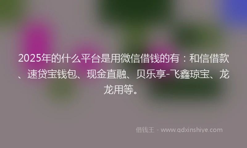 2025年的什么平台是用微信借钱的有：和信借款、速贷宝钱包、现金直融、贝乐享-飞鑫琼宝、龙龙用等。